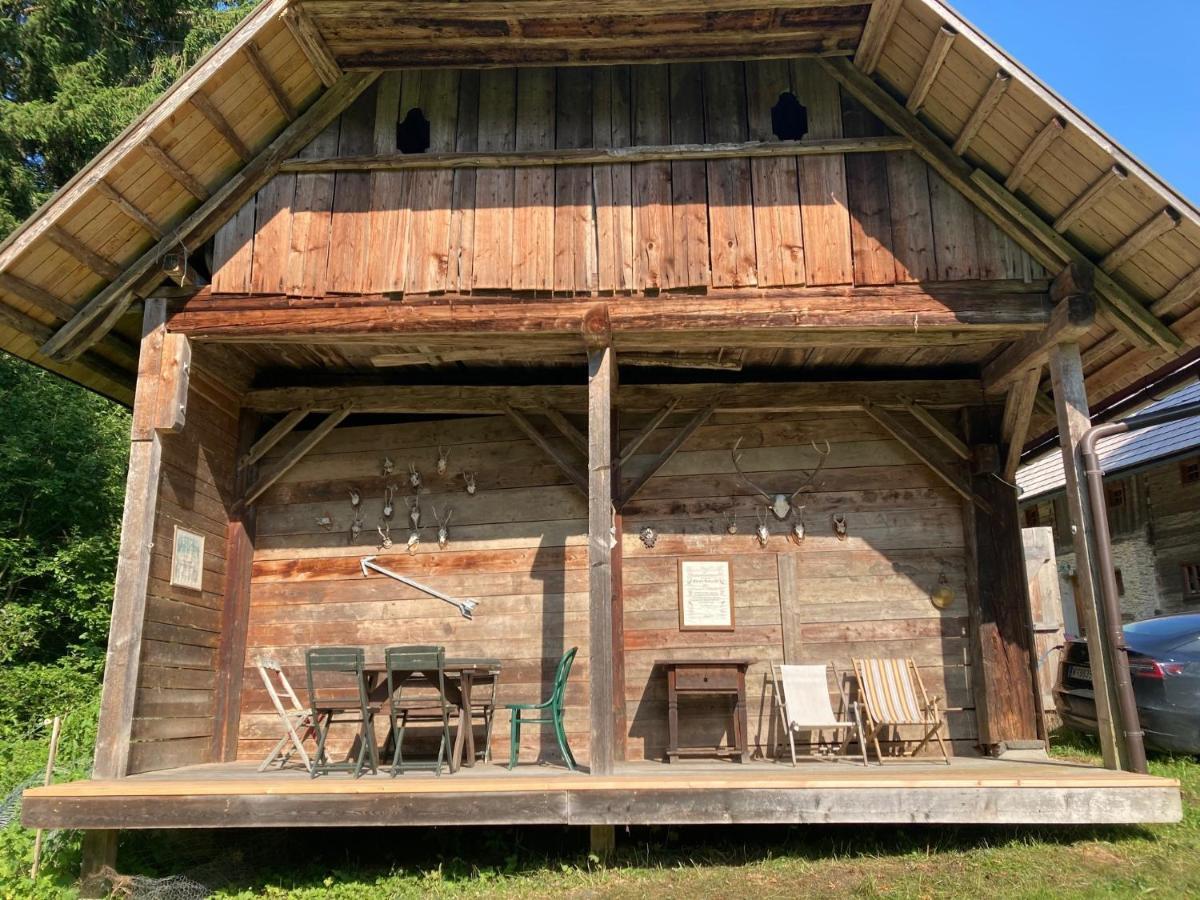Charmante Gaestewohnung In Altem Bauernhaus In Alpiner Alleinlage Stanz Im Murztal Exterior foto