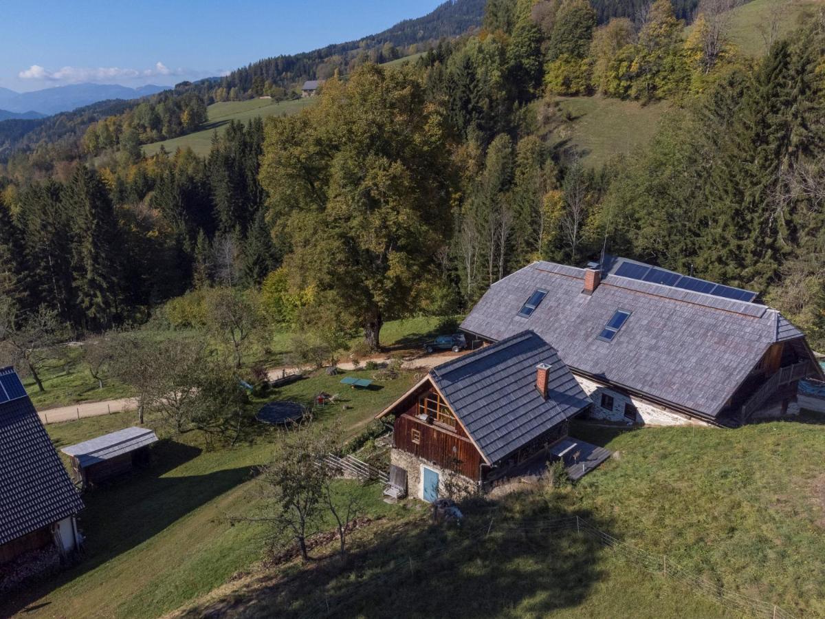 Charmante Gaestewohnung In Altem Bauernhaus In Alpiner Alleinlage Stanz Im Murztal Exterior foto