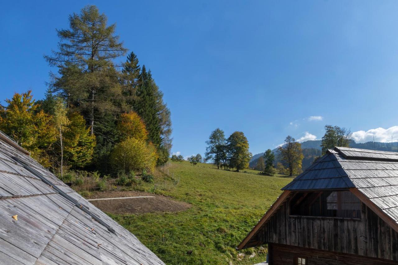 Charmante Gaestewohnung In Altem Bauernhaus In Alpiner Alleinlage Stanz Im Murztal Exterior foto